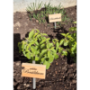 Plant tags