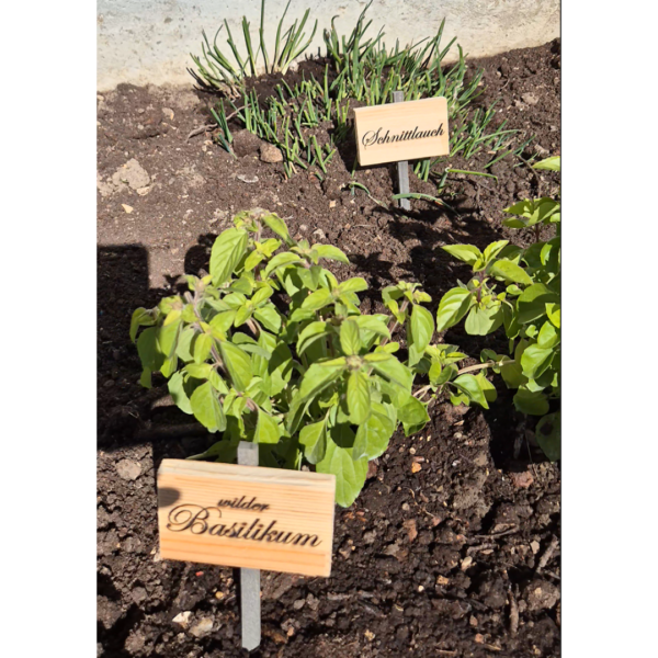 Plant tags